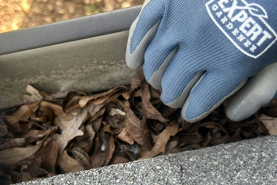 Gutter Cleaning Fleet